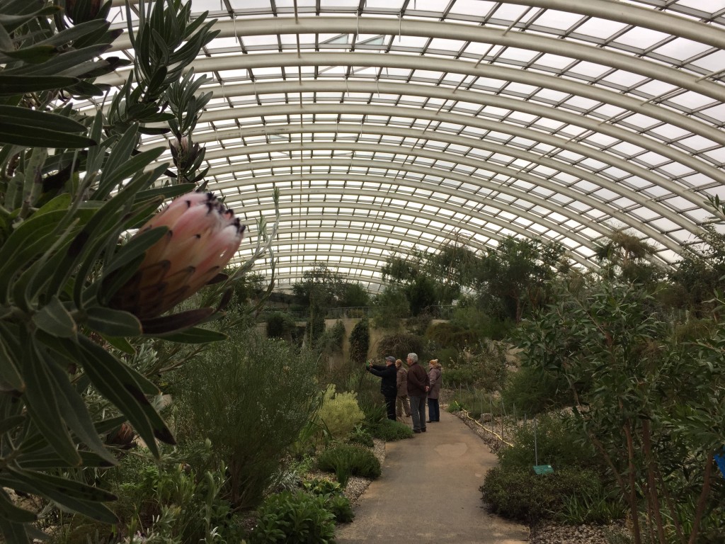 Greenhouse at the National Botanic Garden of Wales